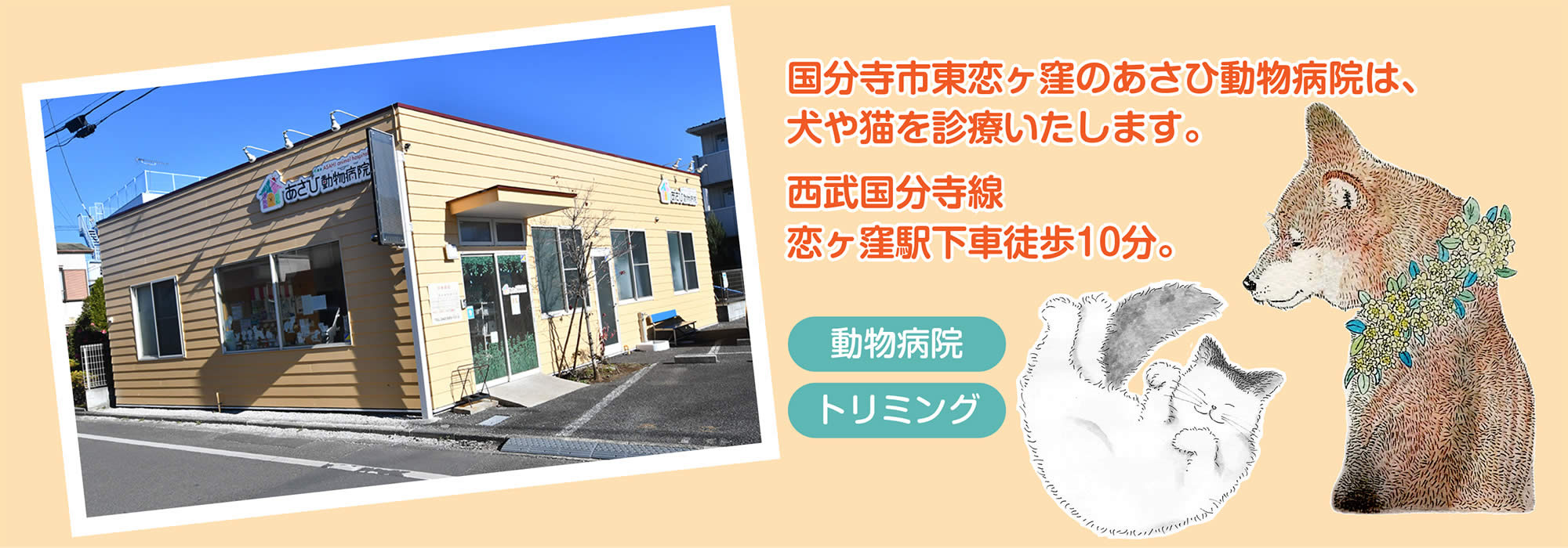 国分寺市東恋ヶ窪の「あさひ動物病院」は犬・猫を診療いたします。 西武国分寺線「恋ヶ窪駅」徒歩10分。
