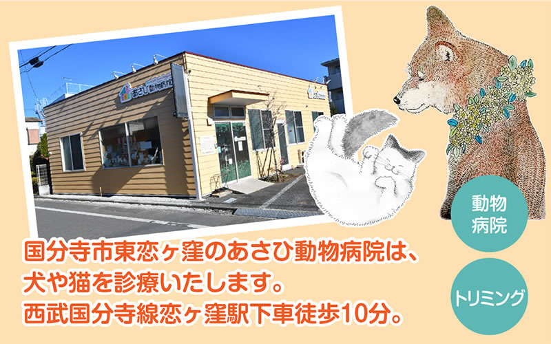 国分寺市東恋ヶ窪の「あさひ動物病院」は犬・猫を診療いたします。 西武国分寺線「恋ヶ窪駅」徒歩10分。